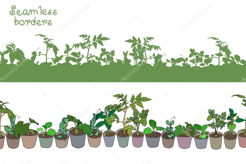 Border with seedlings and potted plants — Stock Vector © Irina_Oksenoyd