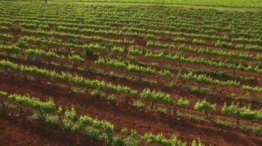 Günbatımı hava manzaraya bağ şerit
