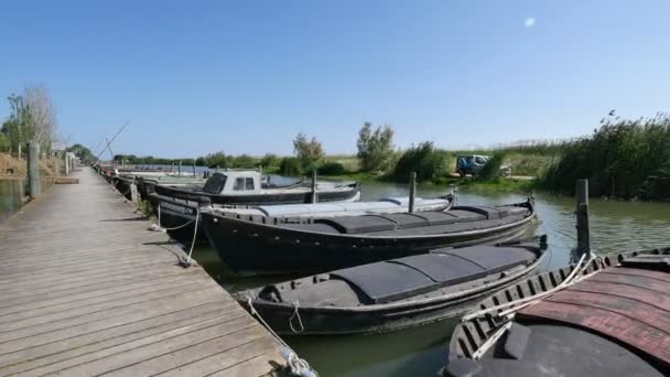 Caminando por el muelle de madera en el río — Vídeos de Stock