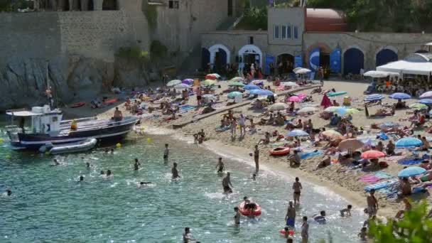 Calella de Palafrugell, Girona, Španělsko. Přístav Pelegr pláž v létě. 18. srpna 2016. Dovolená na pláži ve Španělsku v létě — Stock video