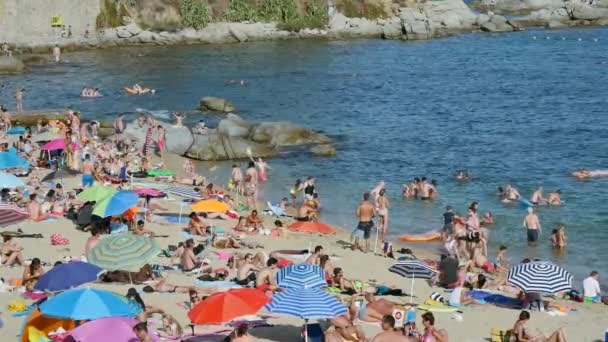 Calella de Palafrugell, Girona, Spanien. Port Pelegr stranden i sommar. 18. augusti 2016. Semester på stranden i Spanien i sommar — Stockvideo