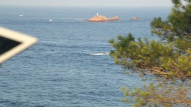 Tablet panoramik deniz kıyısı yanında browsing