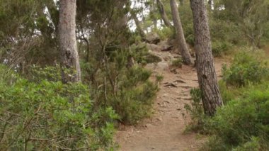 alanlar arasında koşma