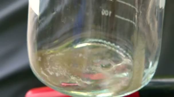 Prélèvement d'un échantillon d'eau 