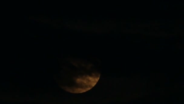 Pleine lune dans une nuit nuageuse . — Video