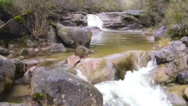 Aerial View Up the River in Autumn — Stock Video