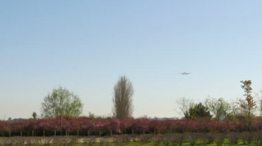 Jet uçağı Boeing 737 açılış yaklaşıyor