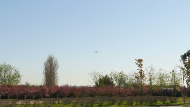 Avião a jato Airbus A320 a aproximar-se da aterragem — Vídeo de Stock