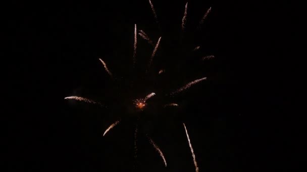 밤에 환상적인 불꽃놀이 로켓 — 비디오