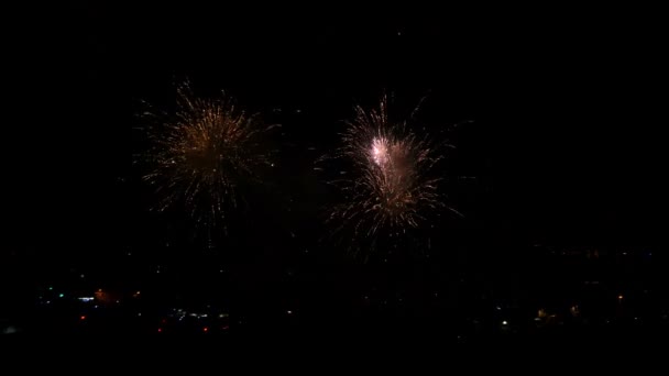 Fuegos artificiales cohetes por la noche — Vídeo de stock