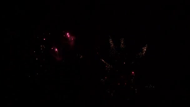 Fogo de artifício de festa Foguetes à noite — Vídeo de Stock