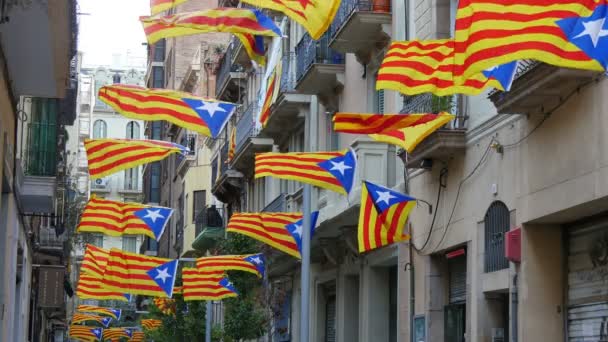 Pro onafhankelijkheid Catalaanse Flagstaff in een winderige dag — Stockvideo