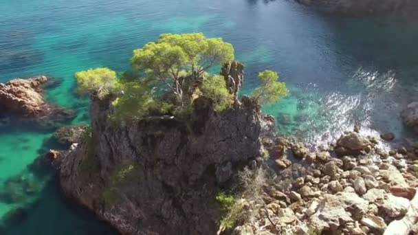 Vergine turchese spiaggia aerea sparare — Video Stock