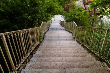 Ağaçların arasından inen bir merdiven...