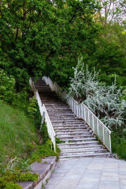 Ağaçların arasından geçen bir merdiven...