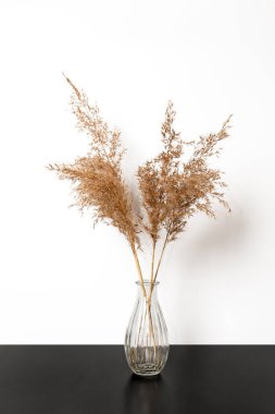 Vazoda kurumuş çiçekler. Işık duvarının yanında..