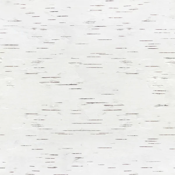 Casca de bétula é textura sem costura — Fotografia de Stock