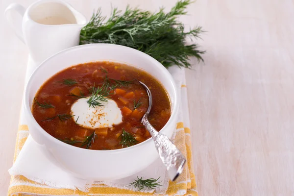 Овощной суп с помидорами — стоковое фото