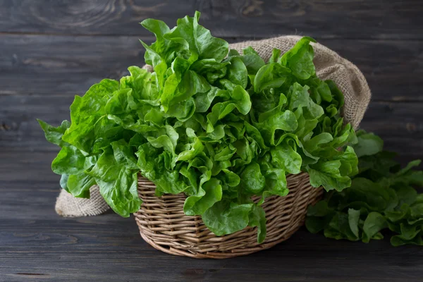 Свежий зеленый органический салат в корзине — стоковое фото