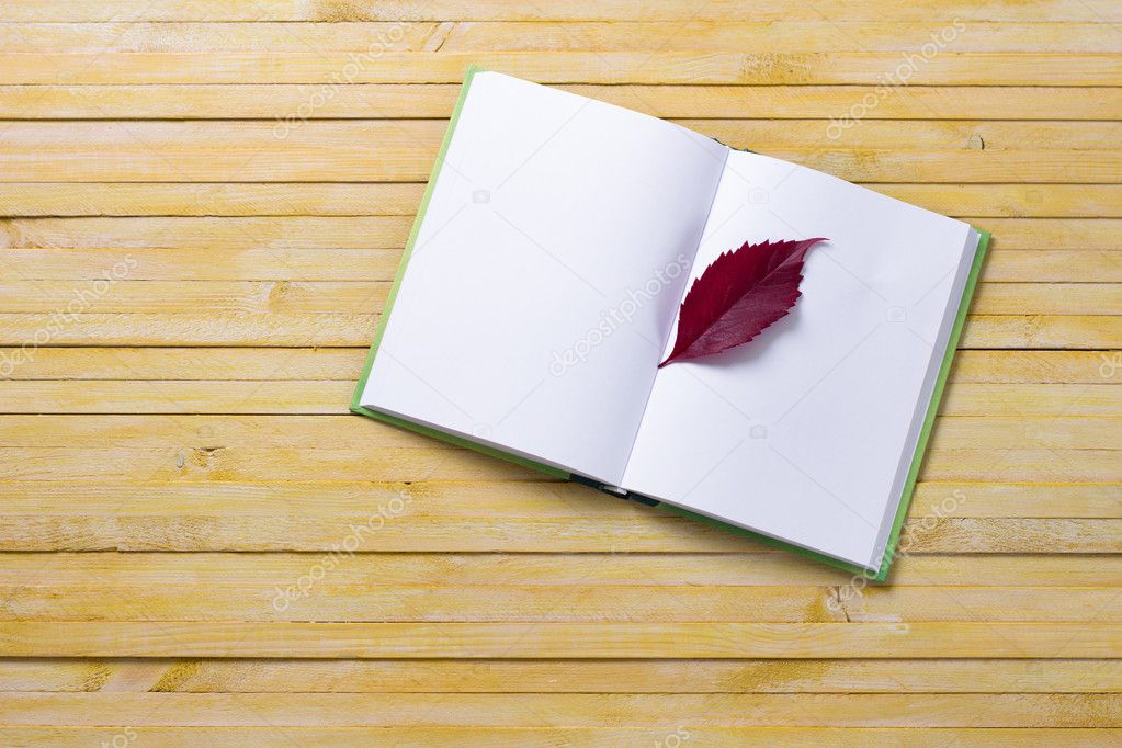 Notebook with autumn leaves