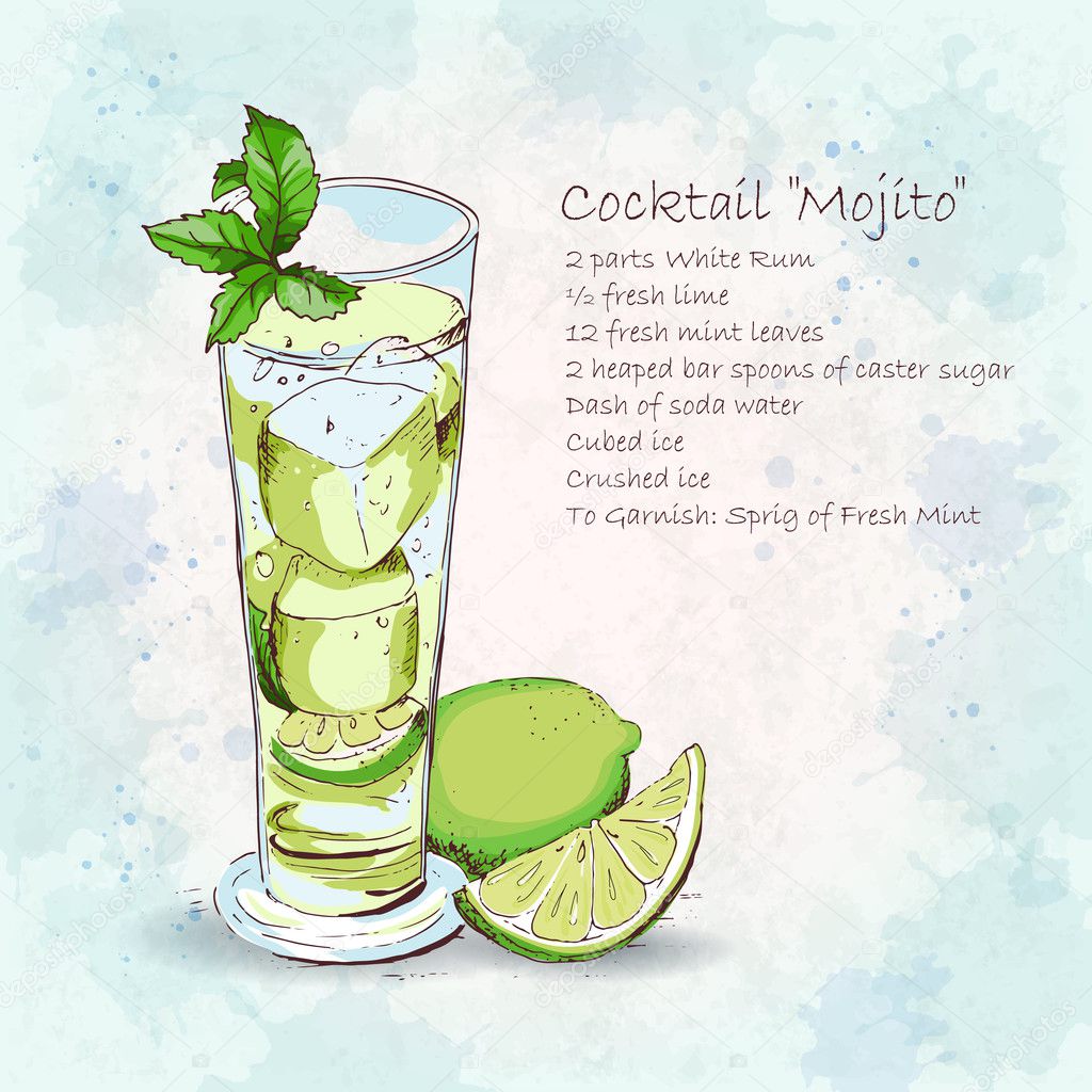 Classic Mojito cocktail. Popular alcoholic cocktail Mojito in long glass. Detailed recipe. Fresh and salty drink. Hand drawn vector illustration 