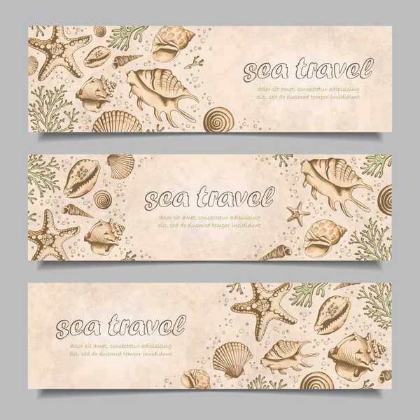 Set of three horizontal banners with seashells — Stock Vector