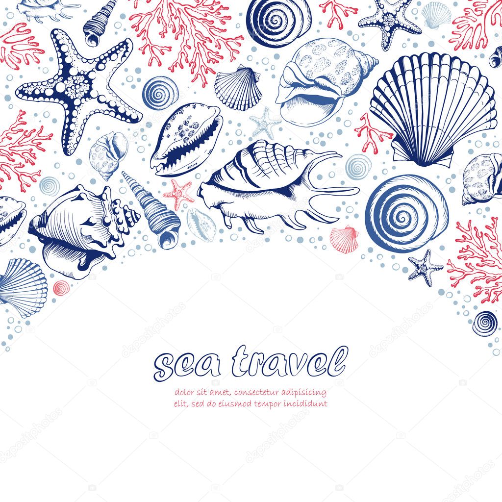 Vector Poster with seashells