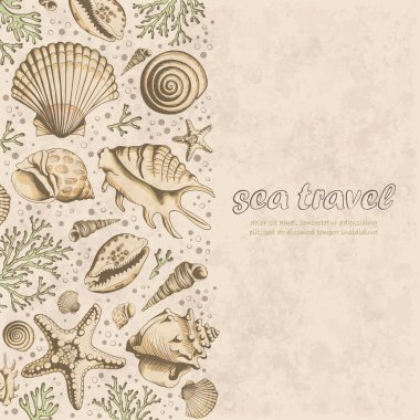 Vector vintage Poster with seashells