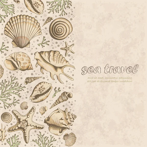 Vector vintage Poster with seashells — 图库矢量图片