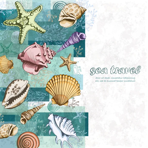 Vector poster with seashells — Stock Vector