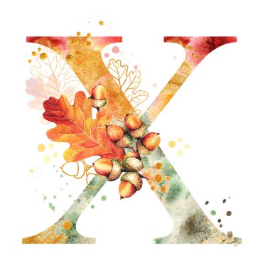 Sonbahar suluboya harfi X. Suluboya sonbahar alfabesi. Sonbahar meşe yaprakları ve meşe palamudu içeren X baş harfleri. Altın siluetler, renkli lekeler. Düğün davetiyeleri için mükemmel dekorasyon, bebek partisi, doğum günleri vs.