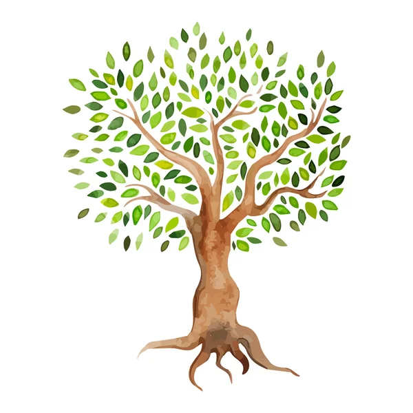 Vektör suluboya ağaç beyaz arka plan üzerinde izole