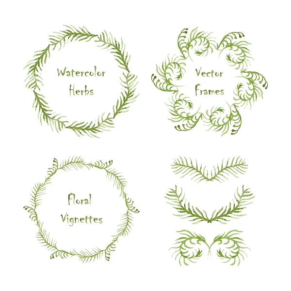 Set of round frames and vignettes made of watercolor ferns. — Stock Vector