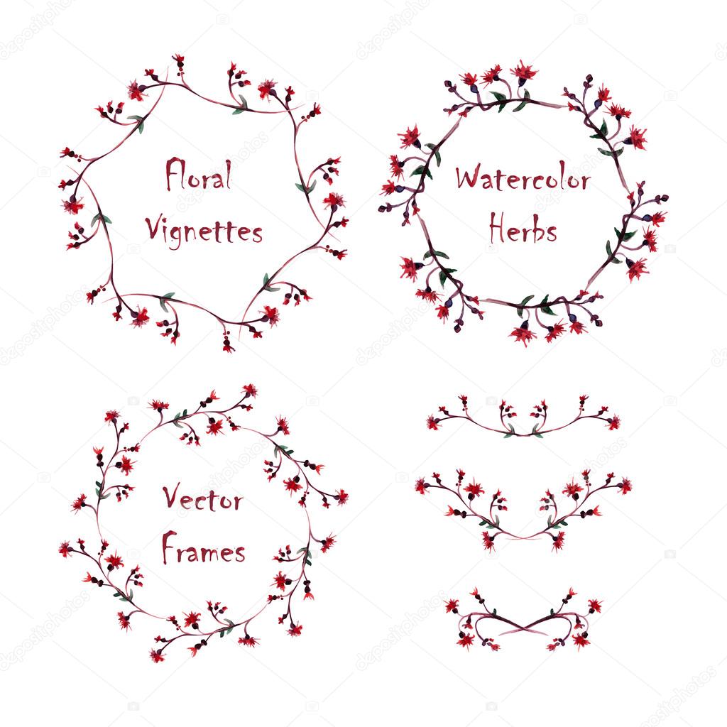 Set of round frames and vignettes made of watercolor  thistle.