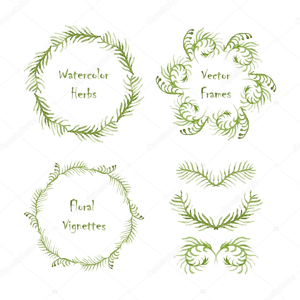 Set of round frames and vignettes made of watercolor ferns.