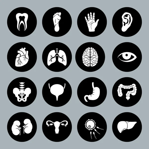 Serie di icone mediche vettoriali con organi umani in stile piatto — Vettoriale Stock