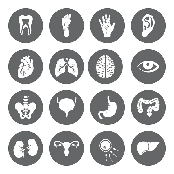 Conjunto de vectores Iconos médicos con órganos humanos en estilo plano — Vector de stock