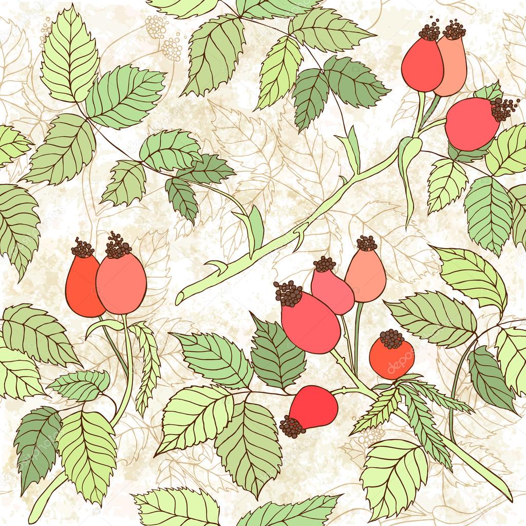 Seamless pattern with branches of wild rose