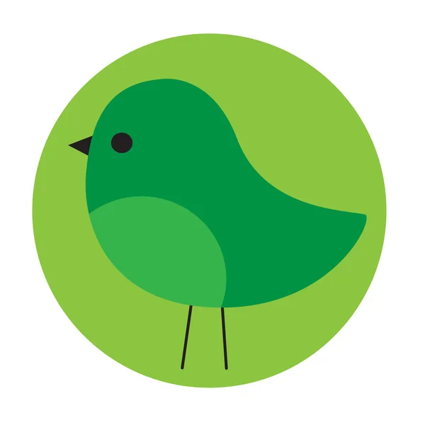 Saint Patricks day bird — Stock Vector