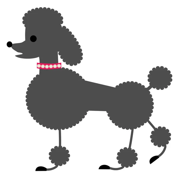 Caniche francés gris — Vector de stock