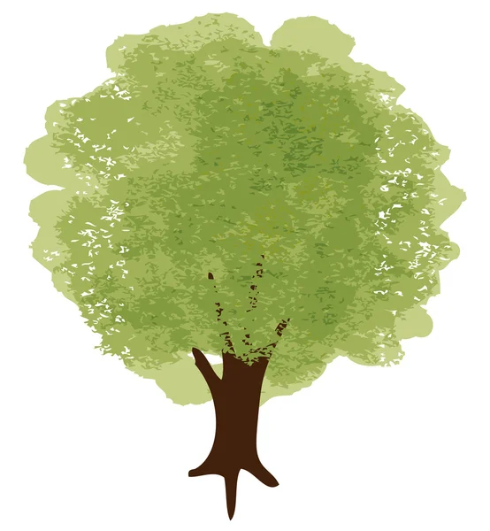 Zöld fa illusztráció — Stock Vector