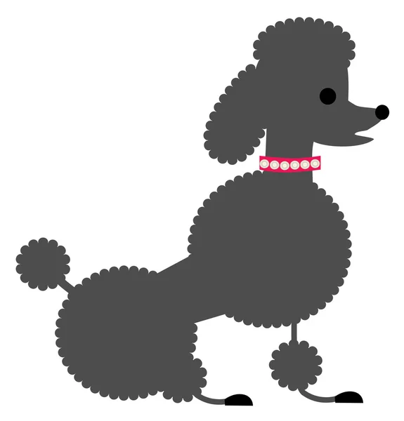 Assis gris français caniche — Image vectorielle