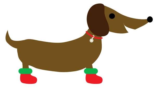 Xmas dachshund illustration — Stock Vector