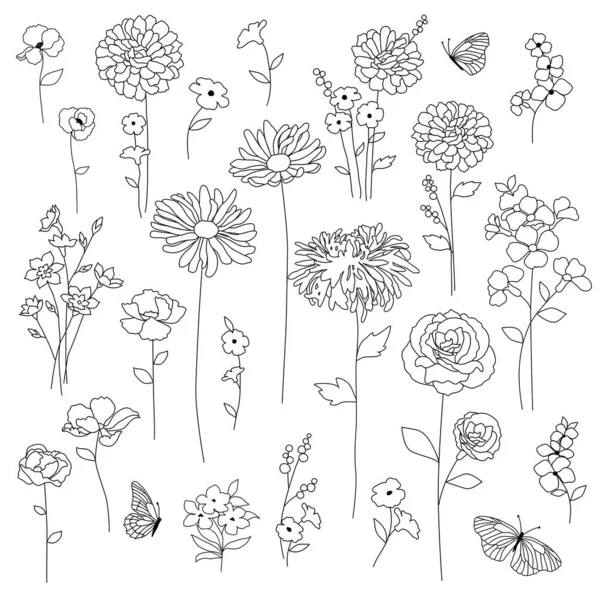 Fleurs Botaniques Dessinées Main Dessins Contour Noir — Image vectorielle