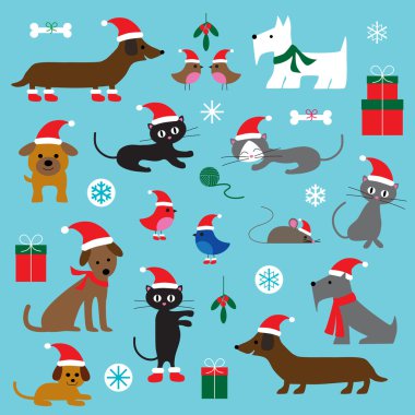 Noel kediler ve köpekler