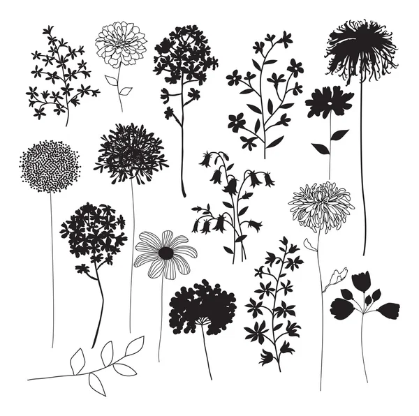 Silhouettes de fleurs sur blanc — Image vectorielle