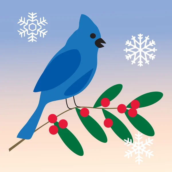 Ghiandaia blu in inverno — Vettoriale Stock