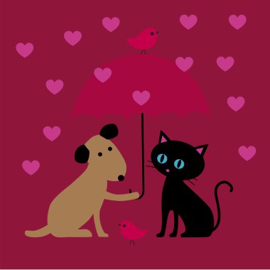 Sevgililer kedi ve köpek