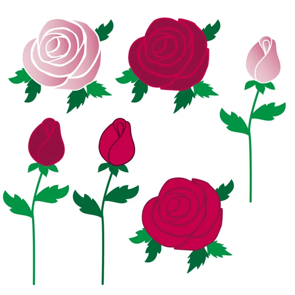 Reihe klassischer Rosenblüten — Stockvektor