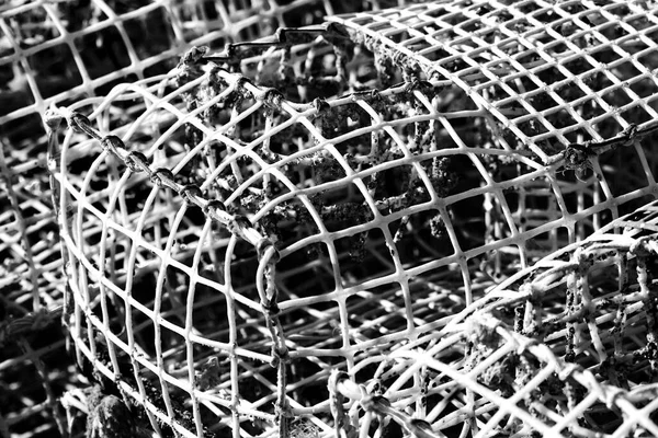 Nahaufnahme Mit Details Von Plastiknetzen Für Fischertöpfe Schwarz Weiß Fotografie — Stockfoto